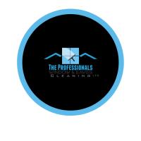 The Professionals Window and Eaves Cleaning Ltd. image 47